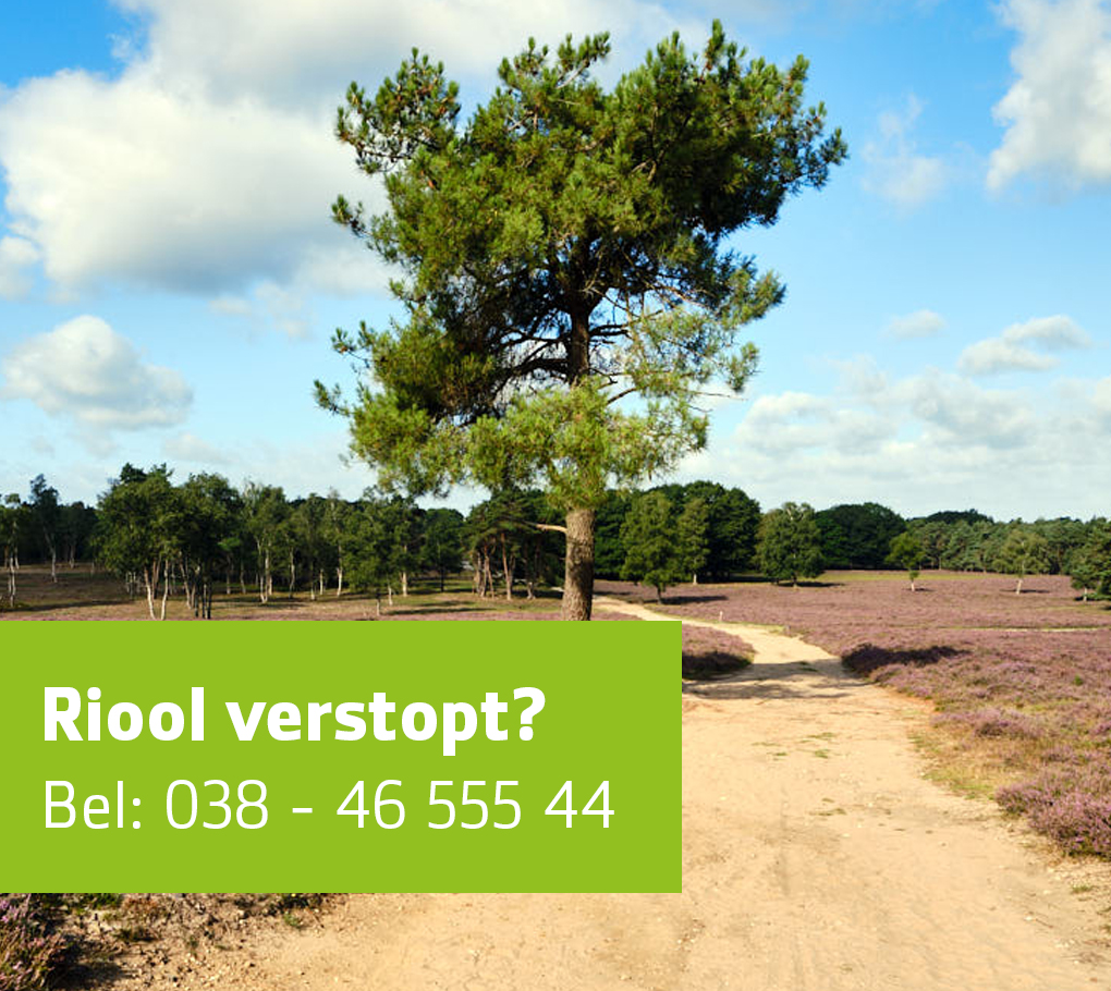 Riool verstopt? Rio Zwolle lost het op!